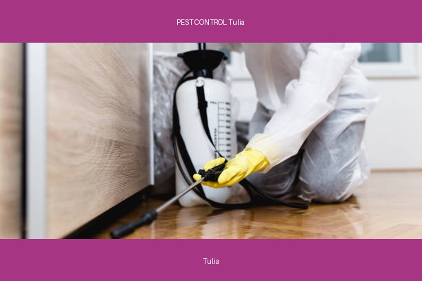 PEST CONTROL Tulia